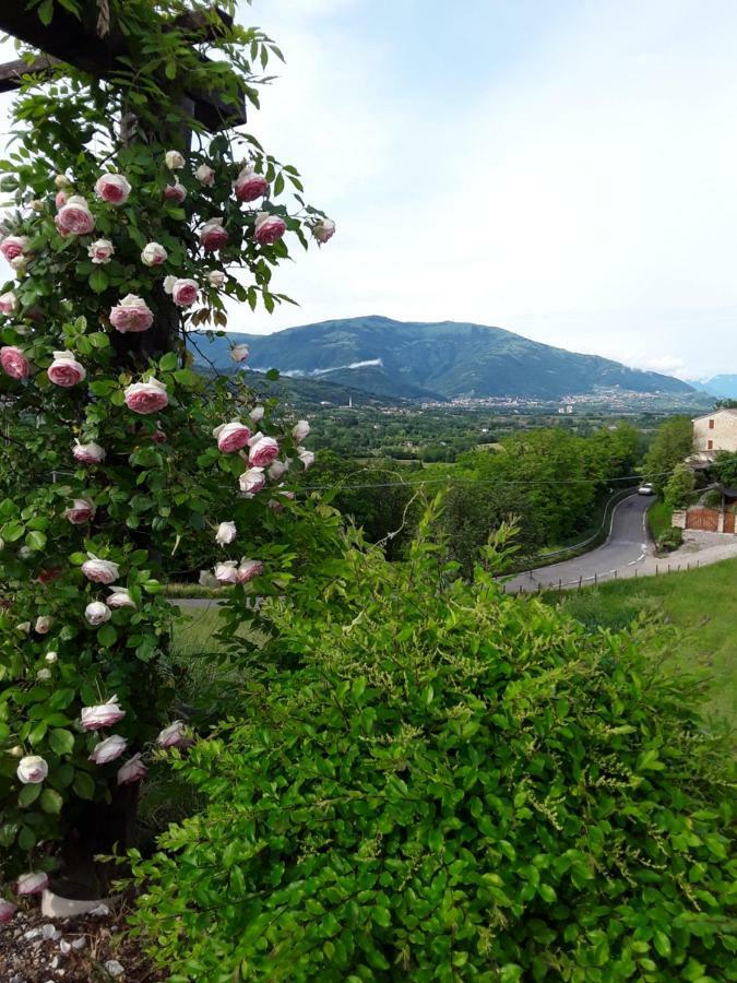 Locanda Bellavista Cavaso Del Tomba Exteriör bild